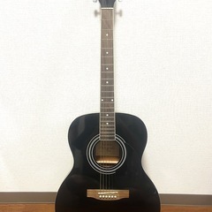 Sepia Crue アコースティックギター