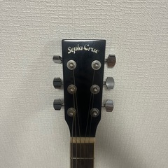 Sepia Crue アコースティックギターの画像