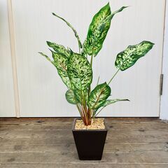 ディフェンバキア 人工観葉植物ポット