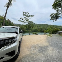 プラド150後期 バグガード　スモークの画像