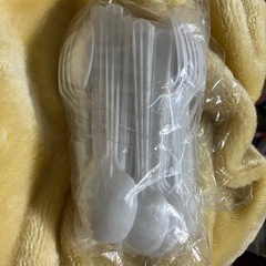 使い捨てスプーン特大の画像
