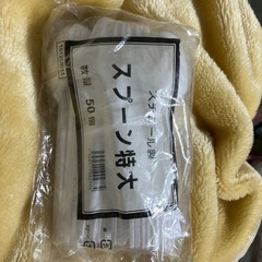 使い捨てスプーン特大
