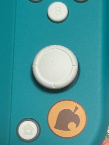 ニンテンドー　Switch lite　