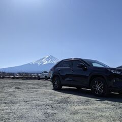 [2019購入品]BLIZZAK DM-V3 225-65R17（スタッドレスタイヤ）の画像