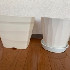大型植木鉢セット＋ココヤシファイバー