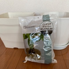 大型植木鉢セット