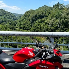 商談中⭐︎CBR250R MC41前期 ABS