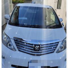 全体的に程度良好なアルファード🚙🌲