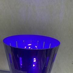 ブラックライト電球の画像