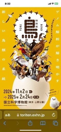 鳥博　チケット　上野　国立科学博物館 11月2日より