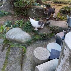 いったん終了します