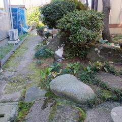 いったん終了します - 猫