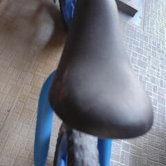 決定しました！子ども　おもちゃの画像