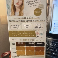しっかり脱色　ミルク　ブリーチ　ハイトーン　　の画像