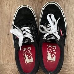 バンズ　プロ　23センチ