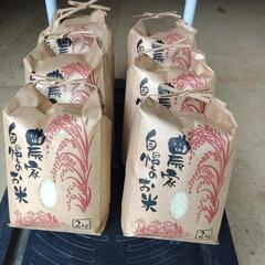 福島県の玄米の中古が安い!激安で譲ります・無料であげます 福島県の玄米の中古が安い!激安で譲ります・無料であげます