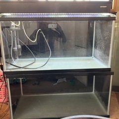LED照明やポンプ付き水槽✖️2