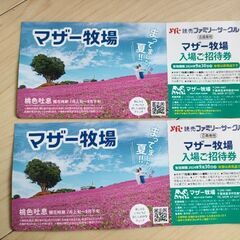 マザー牧場のチケット2枚　郵送も可