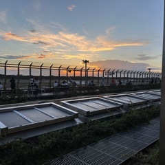 お手伝いします。
