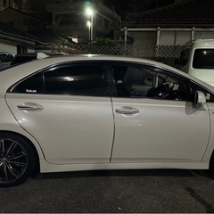 SAIの画像