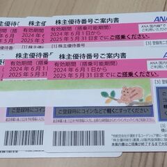 ANA株主優待(2025,5月末まで)