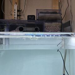 【引取希望】【配送は梱包代と着払いで対応可】900×450×600hアクリル水槽　使用半年　水槽台　上部濾過の画像