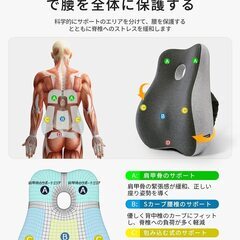 腰クッション ランバーサポート 椅子 車用 クッション ウェストクッション 中空背当て 運転クッション 腰楽の画像