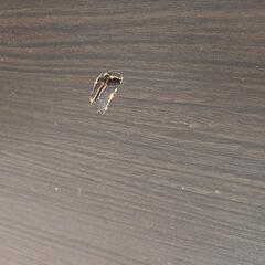 ニトリ セミダブルベッドフレーム 引き出し付きの画像