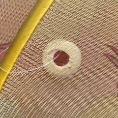 カー用品　サンシェード　プーさん　　の画像