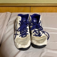 asicsバッシュ