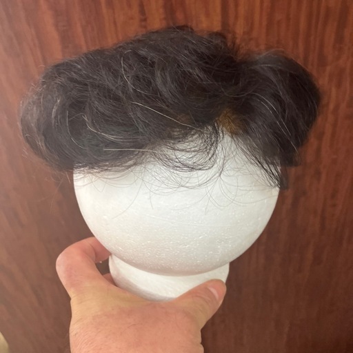 カツラ男性用