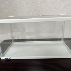 お話し中　　GEXアクリル水槽