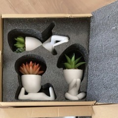 フェイクグリーン多肉植物3個セット  新品未使用品  箱入りの画像
