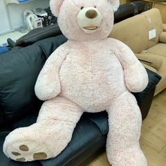 くまのぬいぐるみのご紹介です！