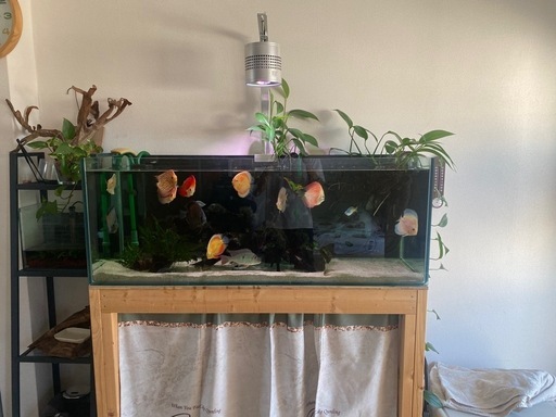 120センチ水槽フルセット