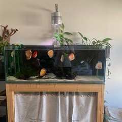 120センチ水槽フルセット