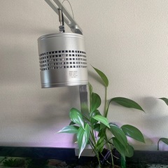 120センチ水槽フルセットの画像