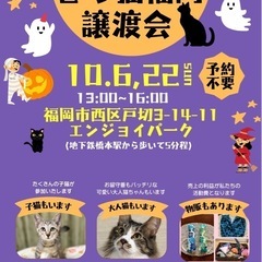 10/6  さち猫福岡譲渡会