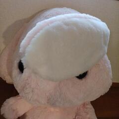 うさぎ　巨大　big ぬいぐるみの画像