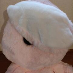 うさぎ　巨大　big ぬいぐるみの画像
