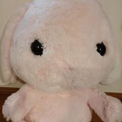 うさぎ　巨大　big ぬいぐるみの画像