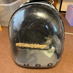 鳥リュック