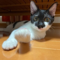 4ヶ月の男の子