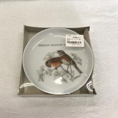 HOYA トレー バードウォッチング