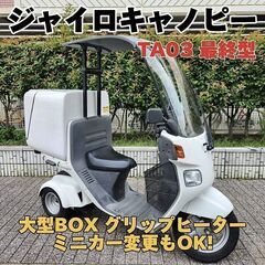 ★4ストFiジャイロキャノピー TA03最終型 大型BOX グリ...