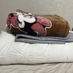 ニトリ　温度調整掛け布団　除湿シート　おまけ付きの画像