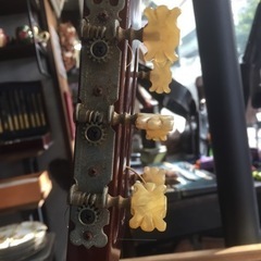 アコスティックギターの画像