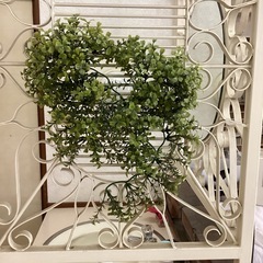 フェイクグリーンの画像