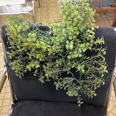 フェイクグリーンの画像