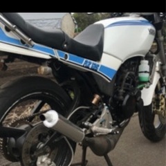 RZ125 ヤマハ希少 (カンガルーカンパニー) 片瀬江ノ島のヤマハの